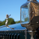 Illustration for article titled Edinburgh Concours of Elegance II